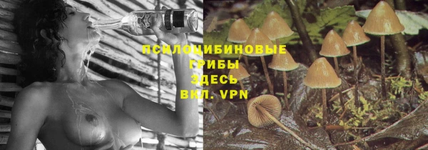 стафф Хадыженск