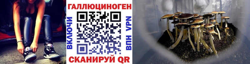 сколько стоит  Павловская  Псилоцибиновые грибы Cubensis 